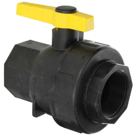 2" FPT Polypropylene Ball Valve Banjo SUV200FP