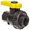 1 1/4" FPT Polypropylene Ball Valve Banjo SUV125FP