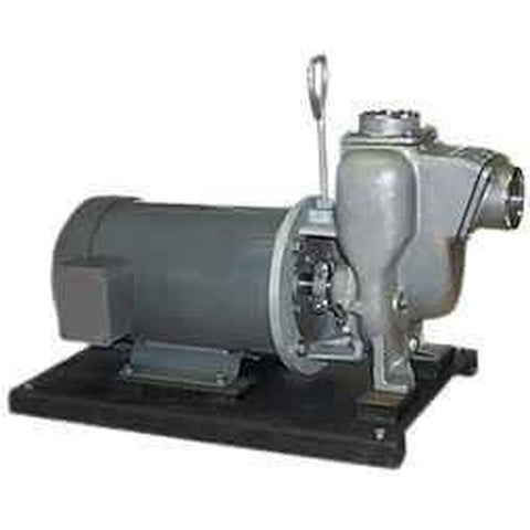 5 HP Single Phase Electric Engine Stainless Steel Pump with 2" NPT Banjo 234PE51SS