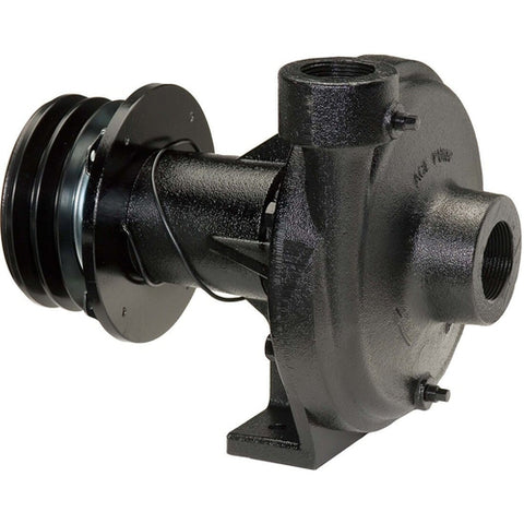 Belt Driven E-coated Cast Iron Pump with 1-1/2" Suction x 1-1/4" Discharge Ace Pumps FMC-650-MAG-D